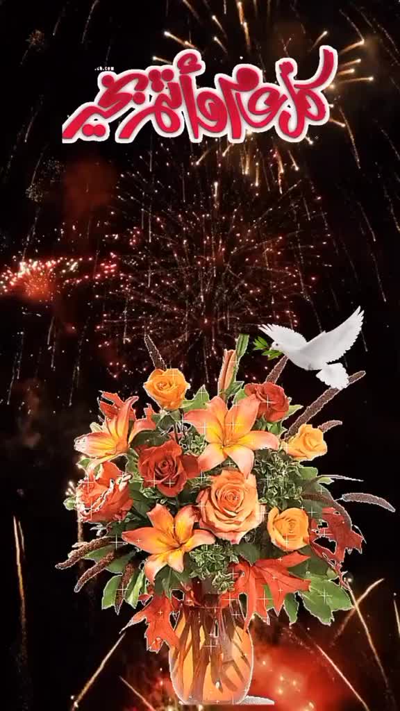 @👑꧁★ماهر★꧂👑