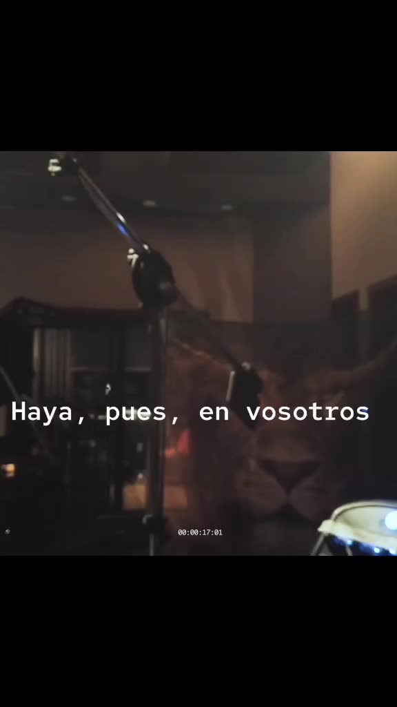 @guadalupe