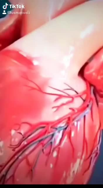 @user36579463150