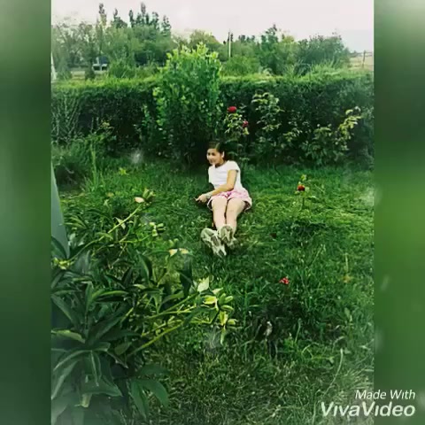 @Akmonshak