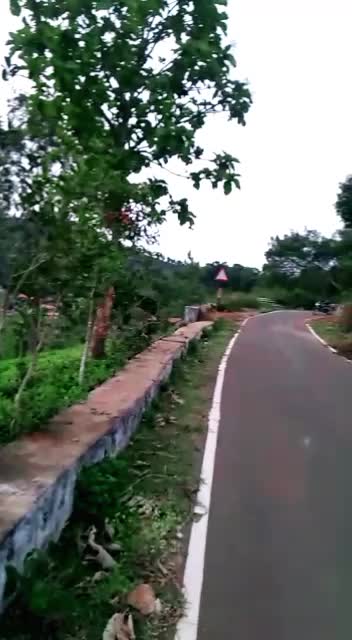 @Sangee Santhosh