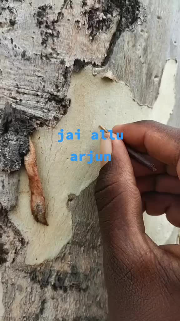 @user1119298562207