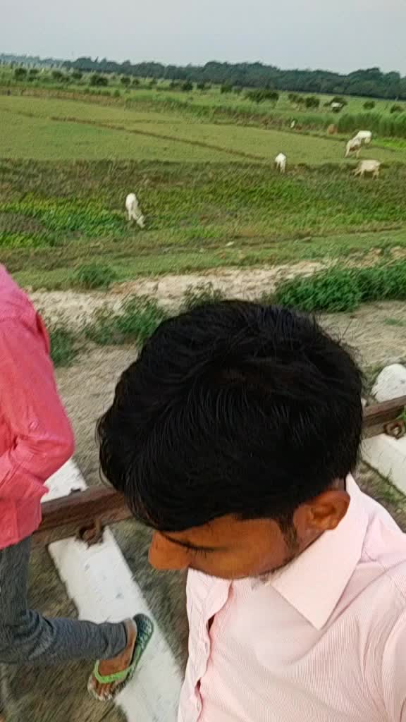 @Md Kismat