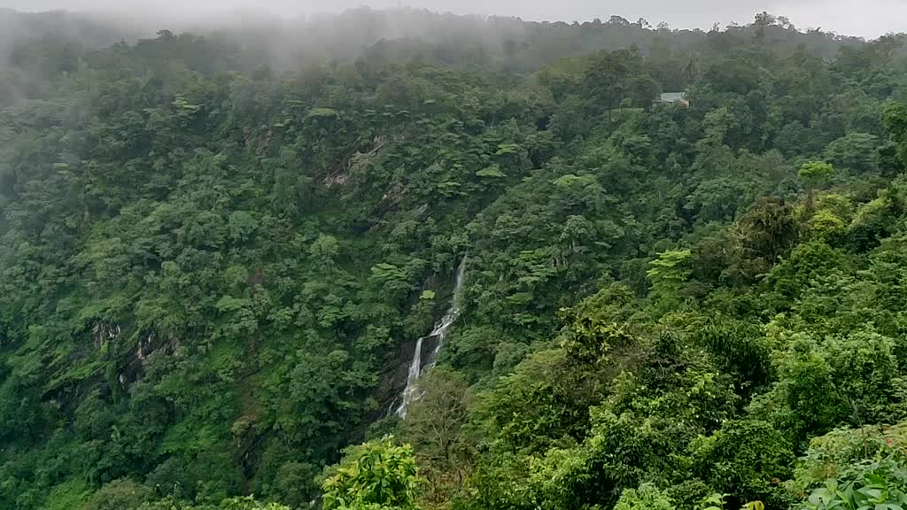 @chandar kurubas