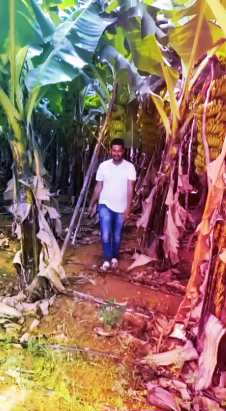 @👑shiraj Bangalore👑