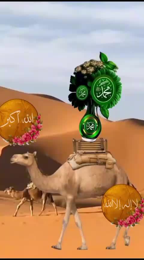 @Najlaa El Amrani