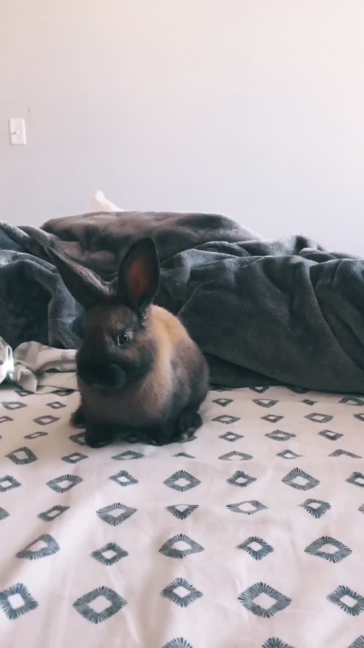 @ɴᴏᴛ ɪᴍᴘᴇʀsᴏɴᴀᴛɪɴɢ <3