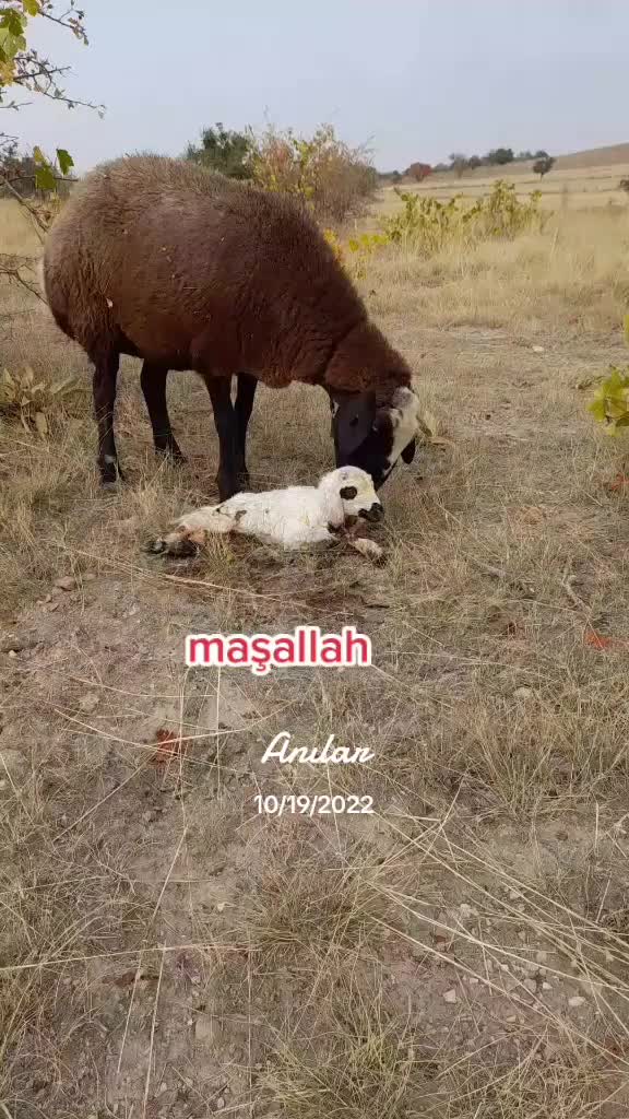 @KAYIP ŞEHİR68