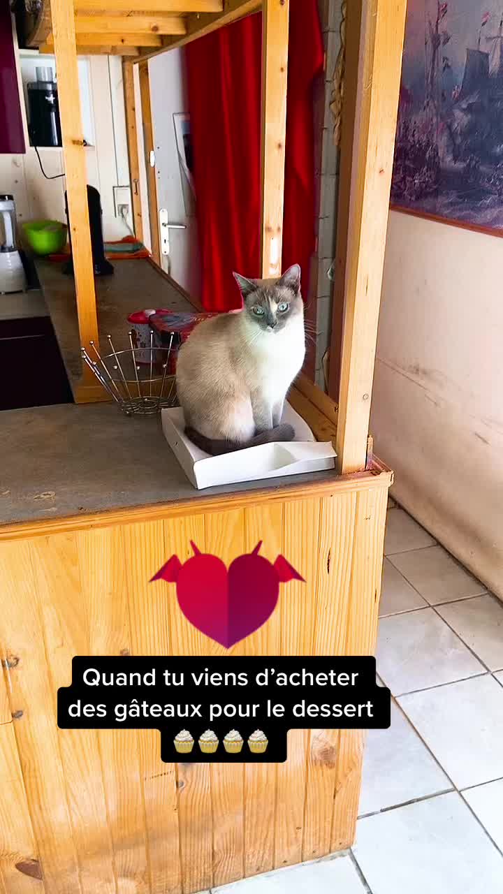 @Dr&ocirc;le de b&ecirc;te 😜