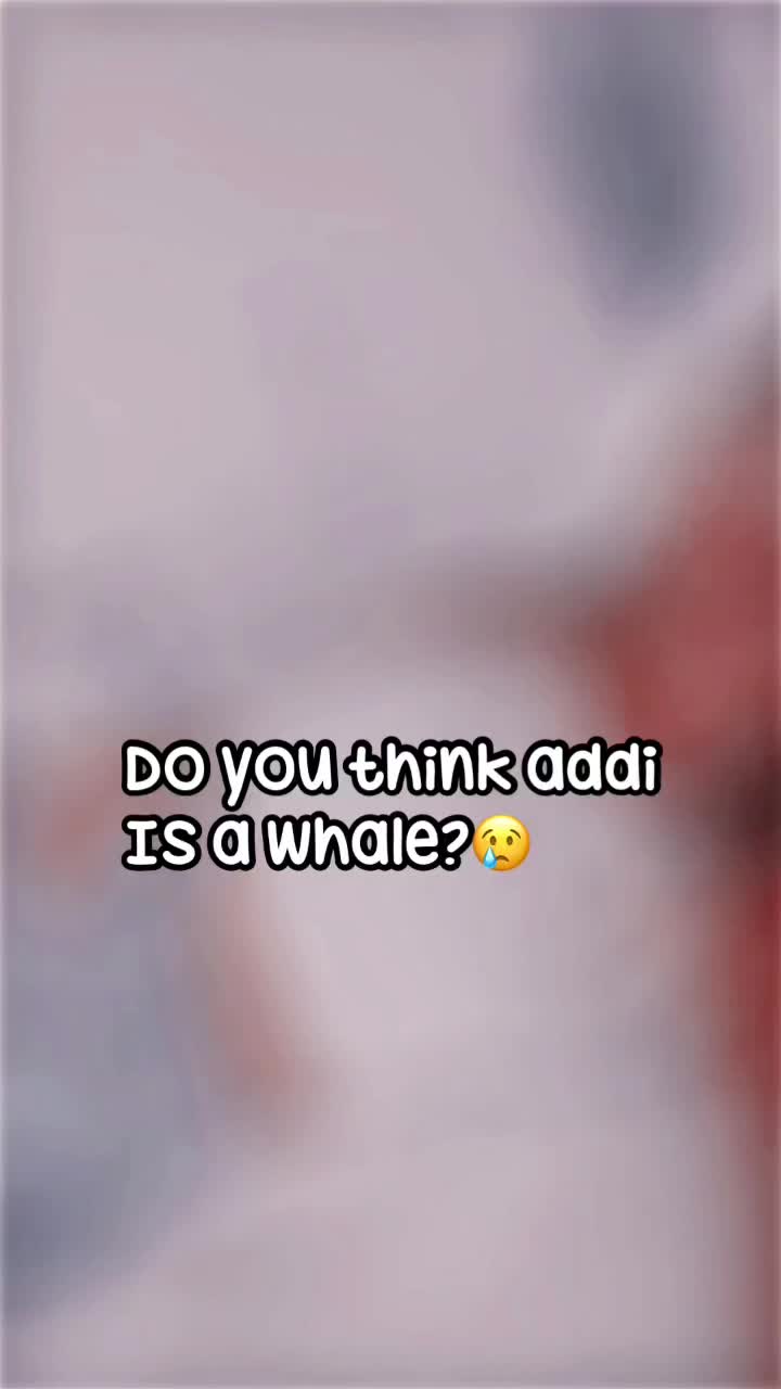 @Addi 🦩🌺