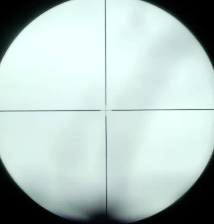 @_docholiday