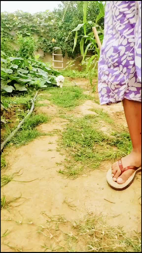 @Gavvy Kamalpura