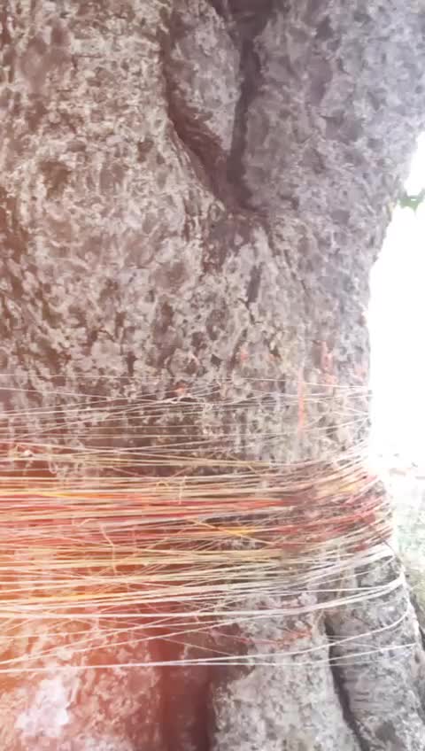 @_Pksahu123