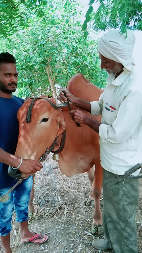 @भागवत आढाव