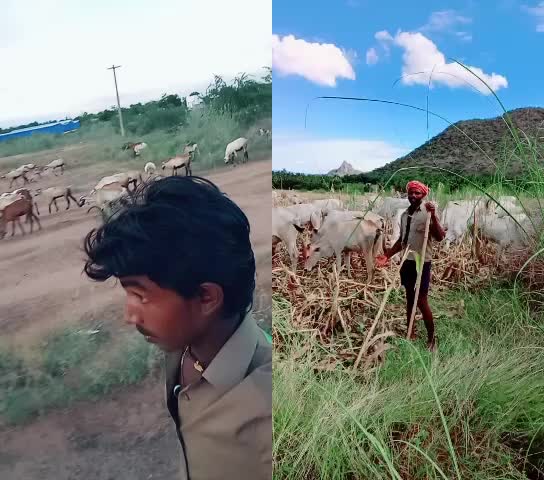 @Sathis Kumar