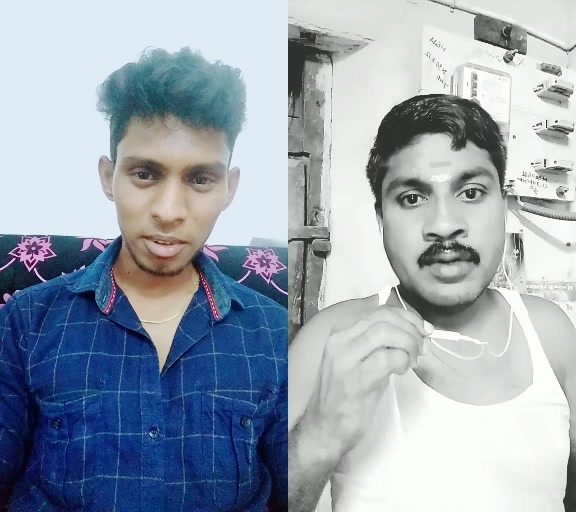 @Single_Tree🌳_Saran