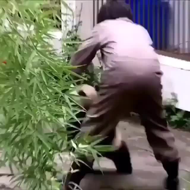 @JAY