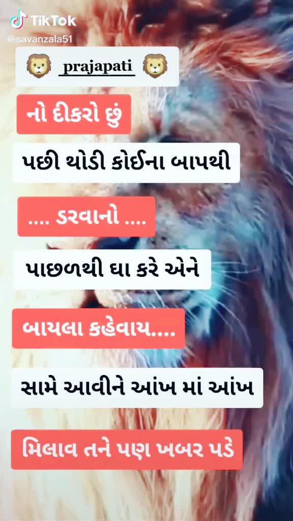 @mr. k.v prajapati