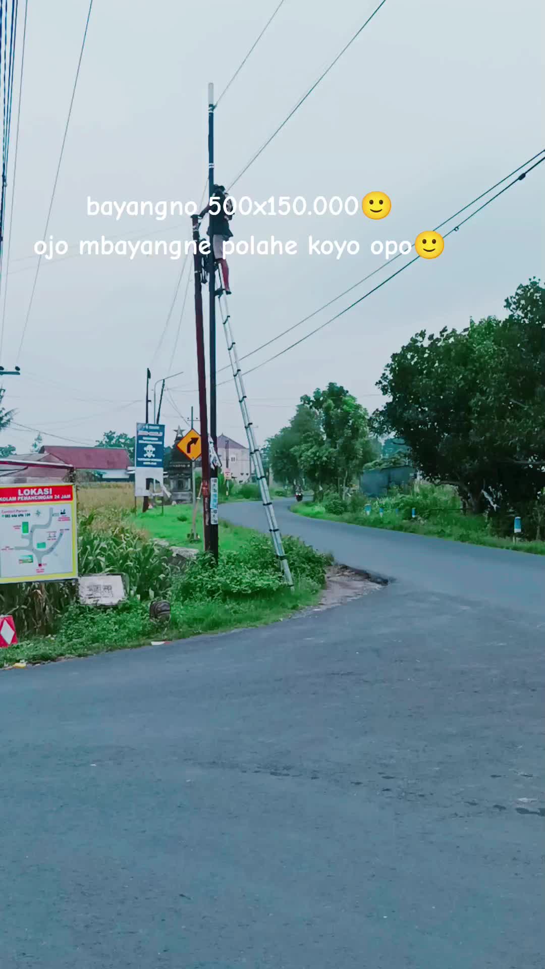 @𝘼𝙡𝙫𝙞𝙣