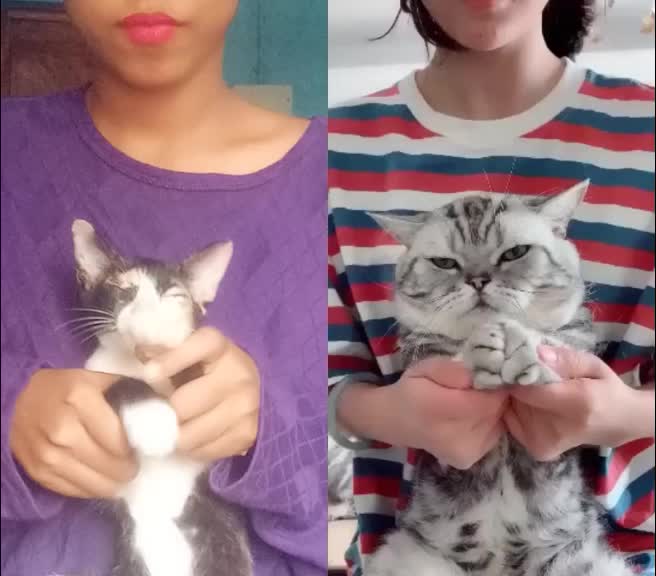 @ଗୁଞ୍ଜନ୍ ମହାପାତ୍ର