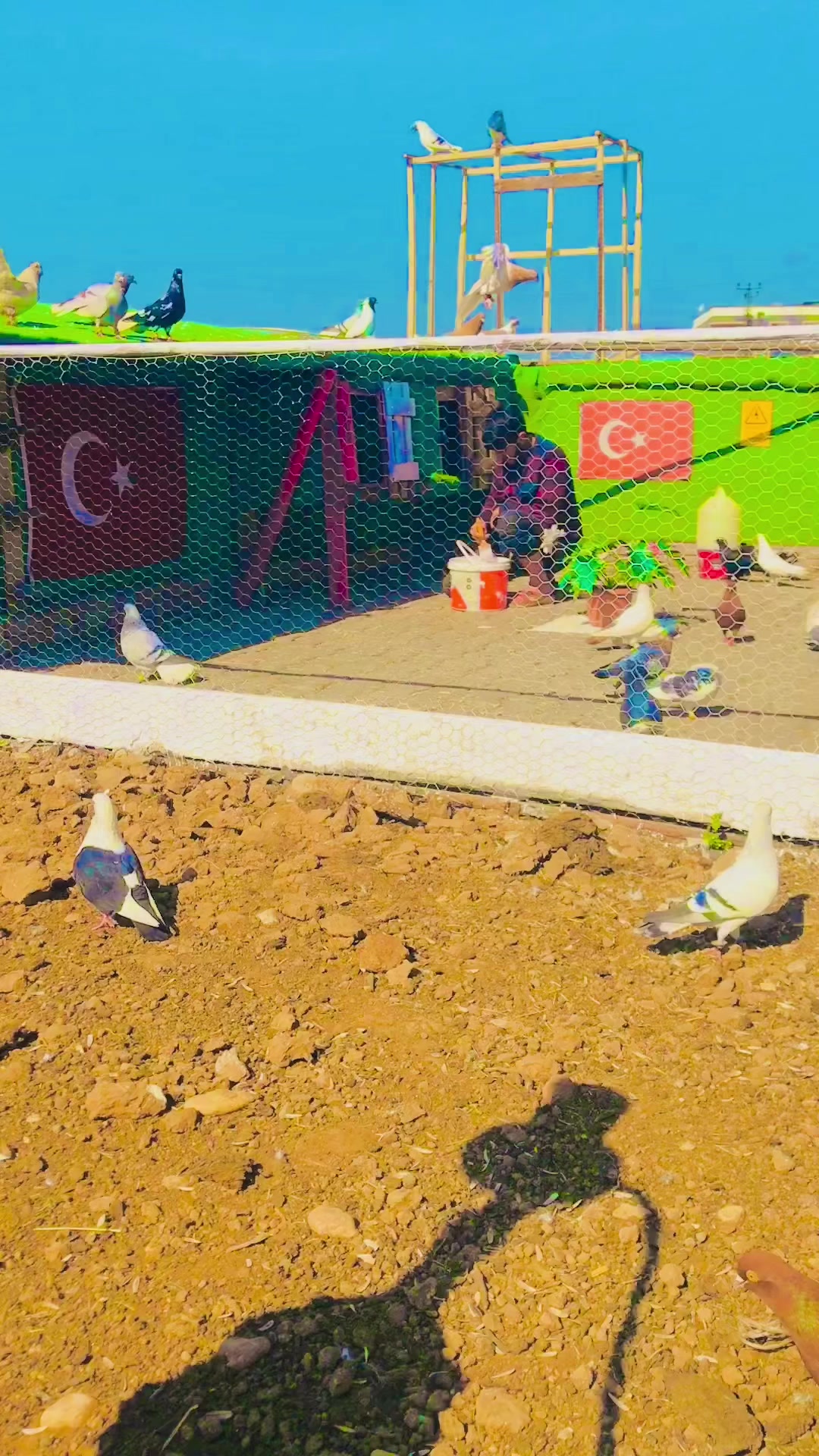 @_𝐤𝐢𝐦 𝐛𝐮 𝐞𝐥𝐯𝐚𝐧𝐜𝛊_