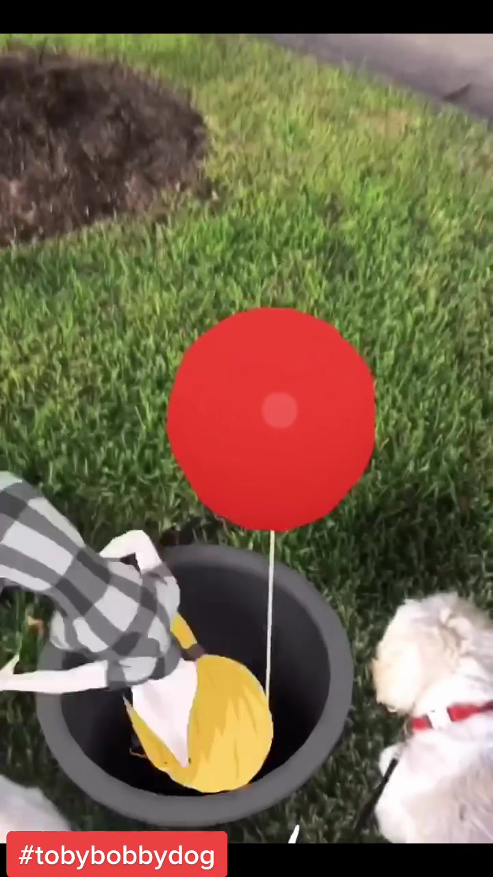 @Tobybobbydog