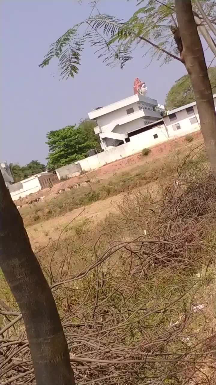 @user9556903632636