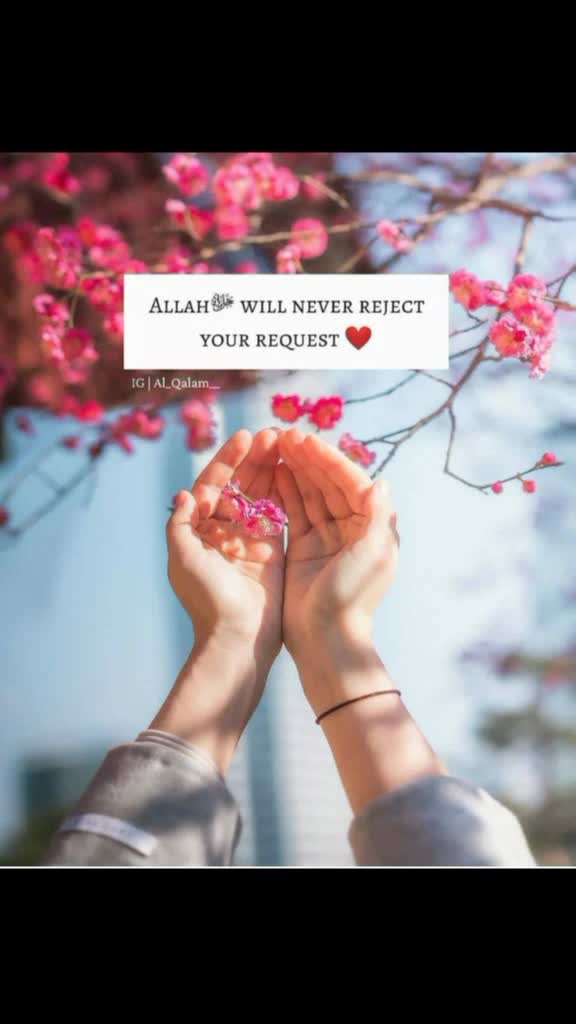@arman khan