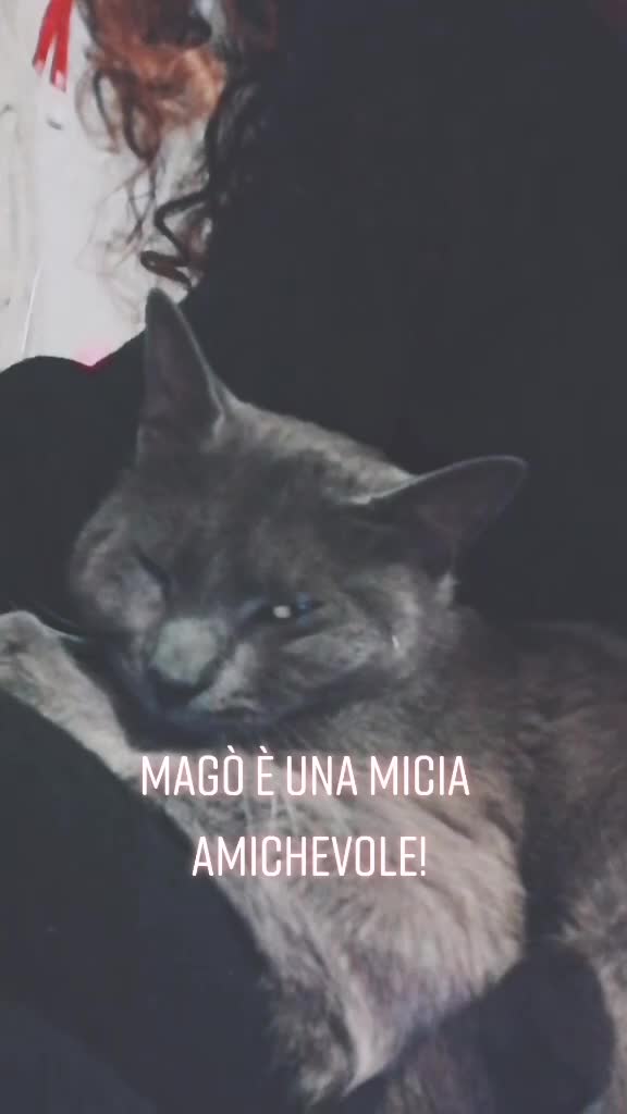 @Laura Aurizzi