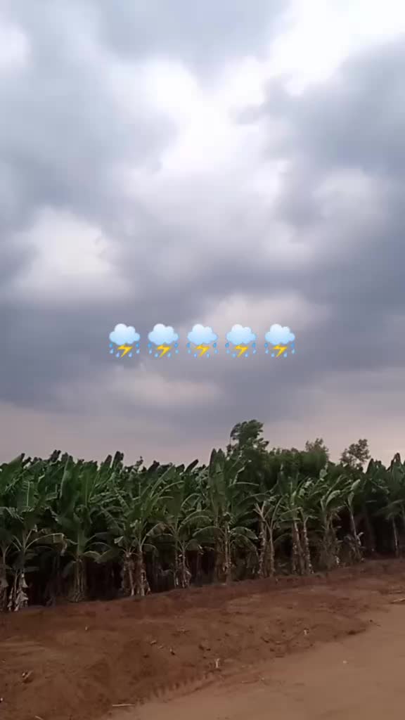 @user7413243602292