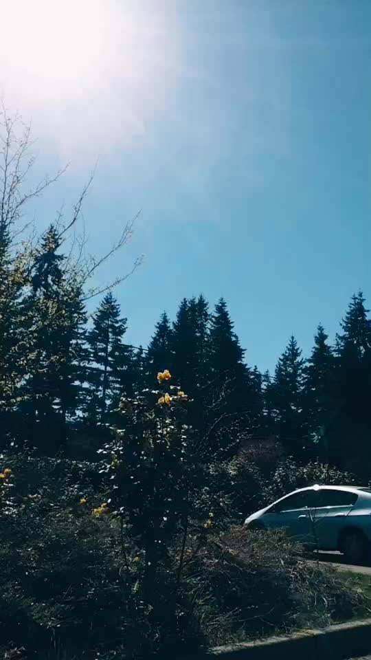 @Smugget