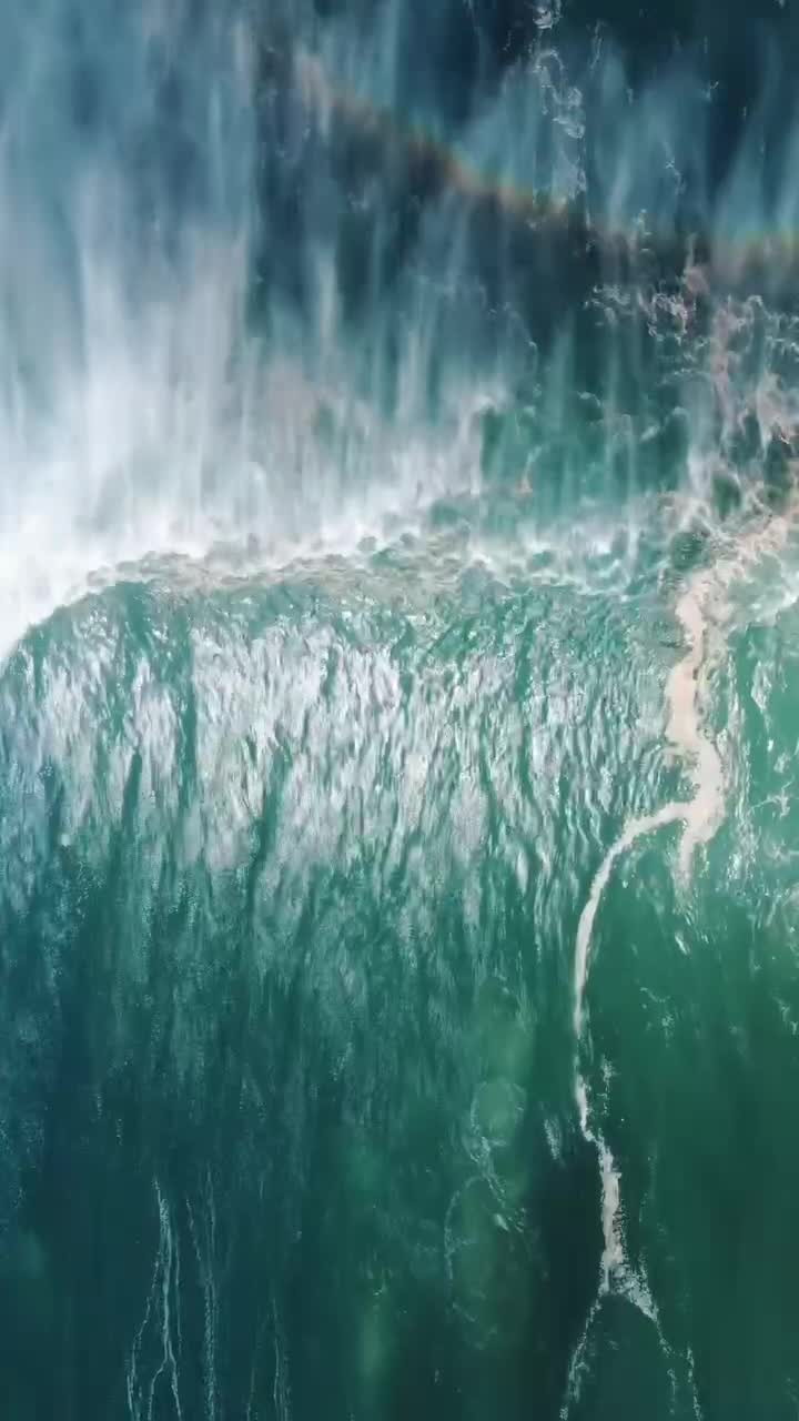 @H A V E N