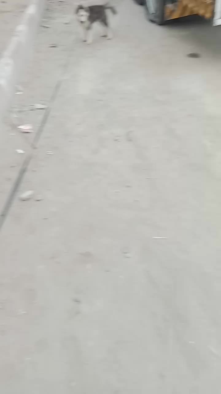 @Zahid