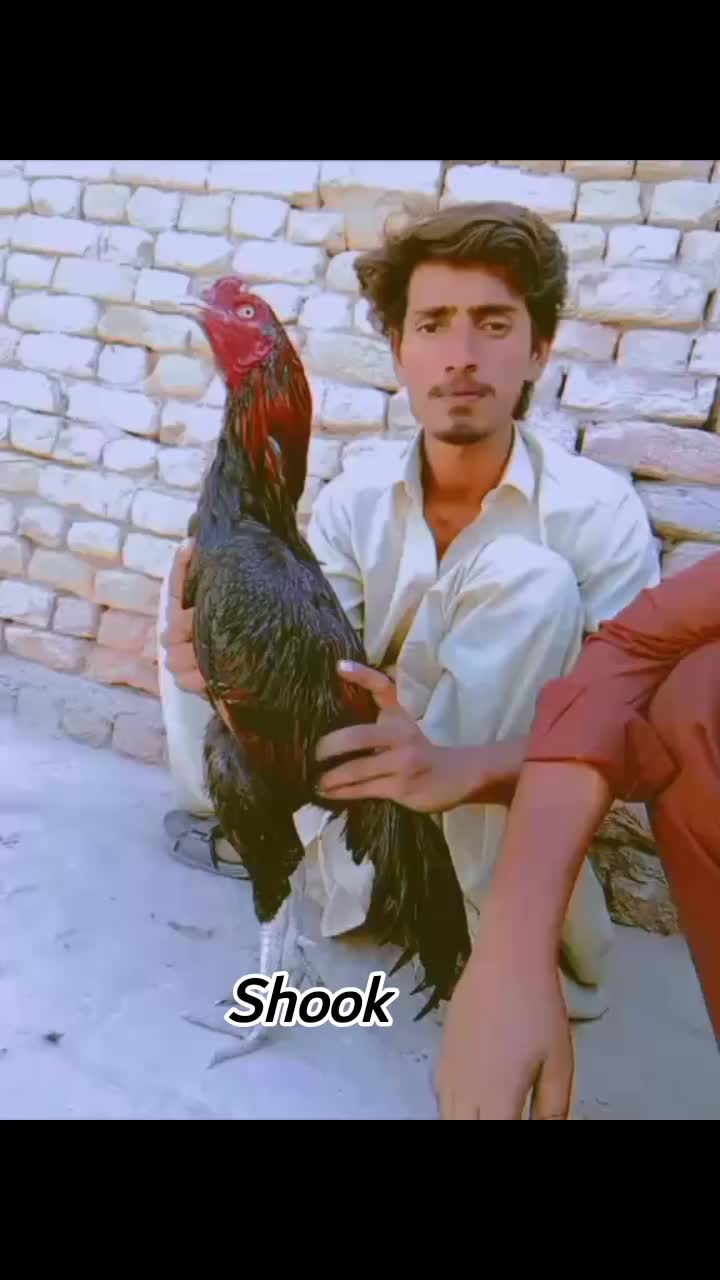 @🕷️😈⚢MOEEN⚢😈🕷️