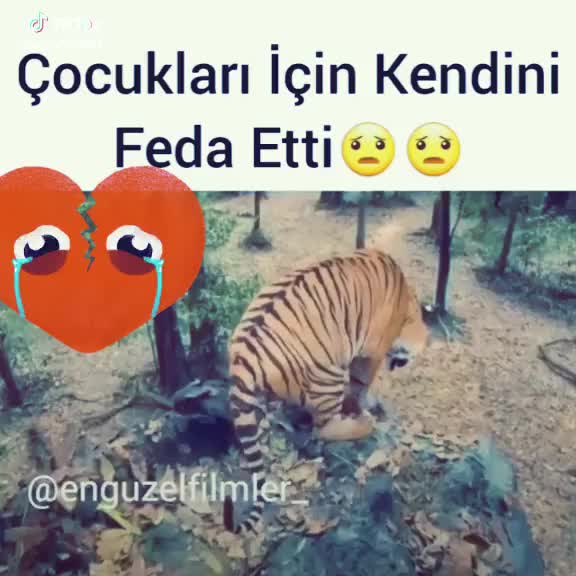 @Trabzon Hançer