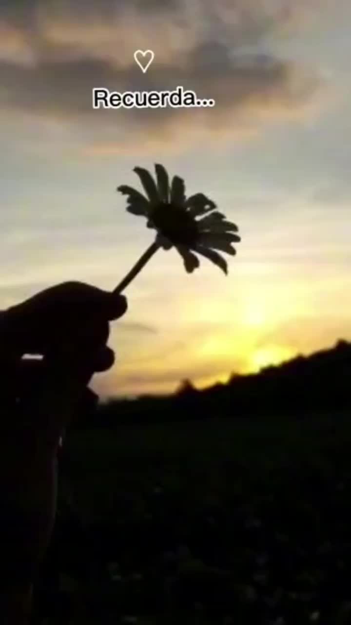 @♡ČËŠY ĎË BËŤH♡🥰🤍⚘²³☆-☆