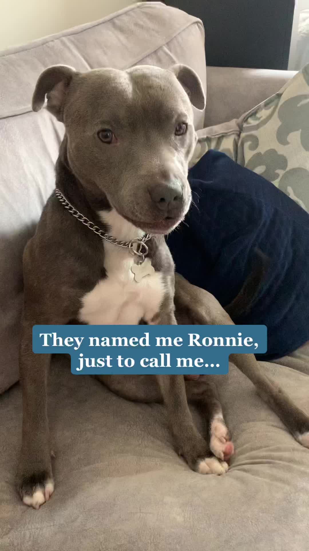 @Emily