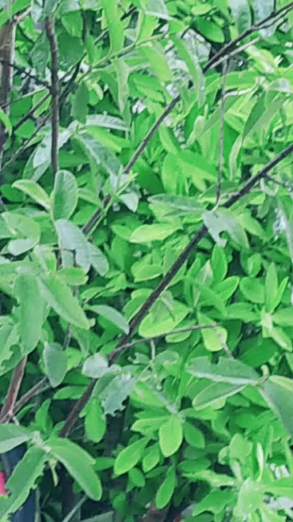 @nagnathshinde23_official