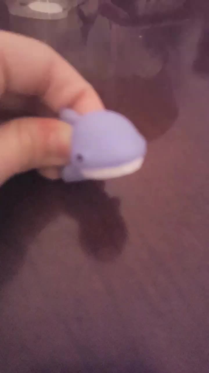 @Mochi Animals