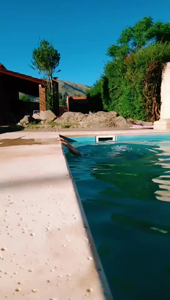 @Camila Aguero