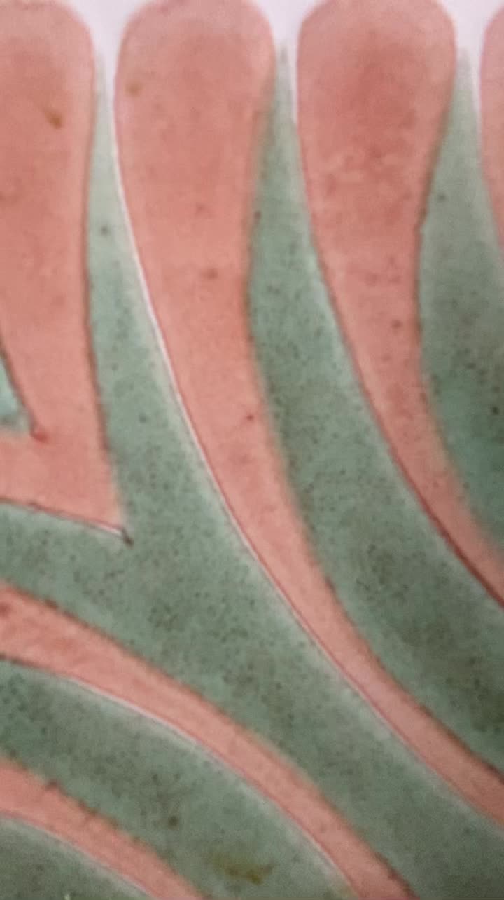@Gon&ccedil;alo Martins Rosa