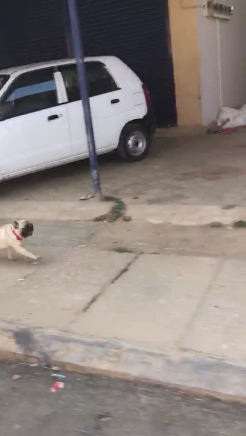 @user235304