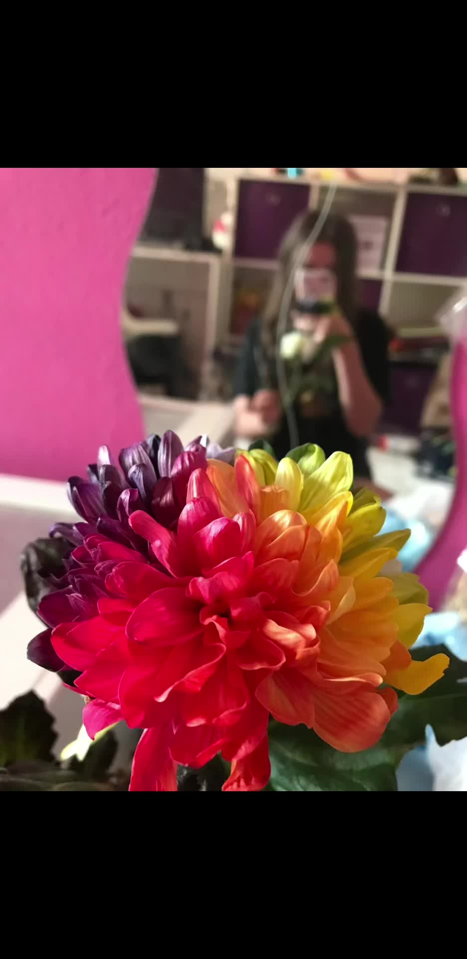 @✩*&bull;.𝑀𝑎𝑟𝑖𝑎&bull;*✩