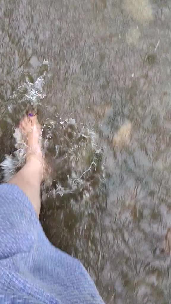 @maine