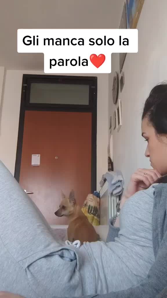 @Angela Orbetti🧿