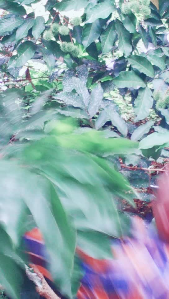 @Sijivarghese.Appoos.