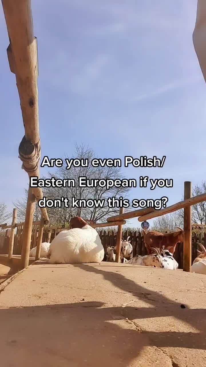 @Anna
