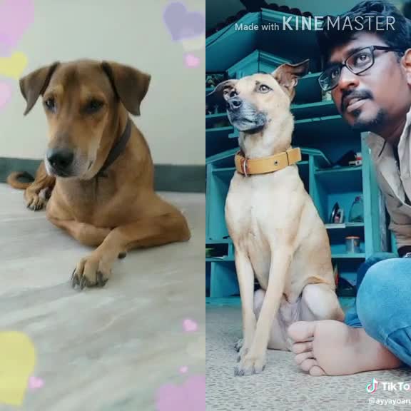 @Thangamurugan