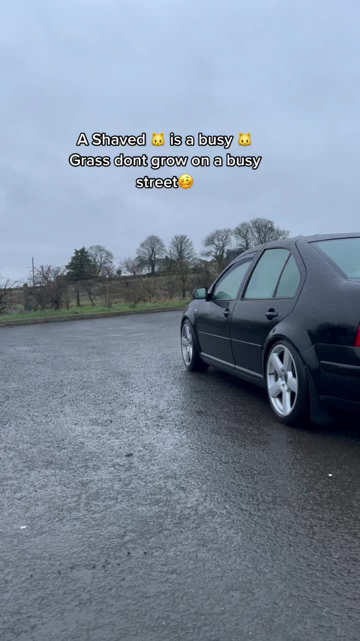 @curtis_ashbridge