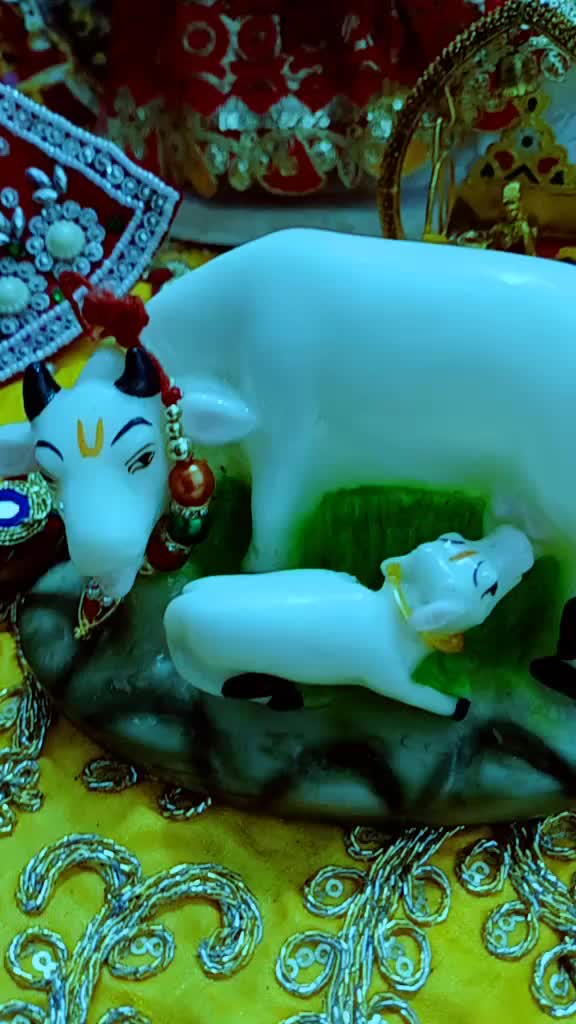 @mamta